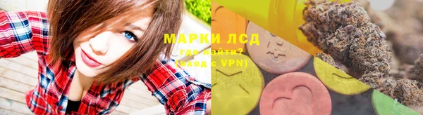 стаф Семилуки