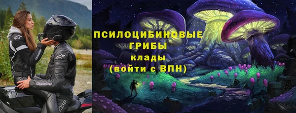 гидра Семикаракорск