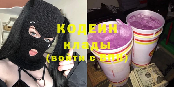 стаф Семилуки