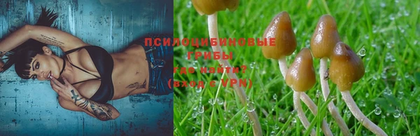 стаф Семёнов