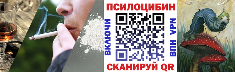 дарнет шоп  Ивдель  Галлюциногенные грибы Cubensis 
